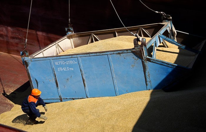 Путин сообщил, что РФ в этом году может собрать рекордные 150 млн тонн зерна