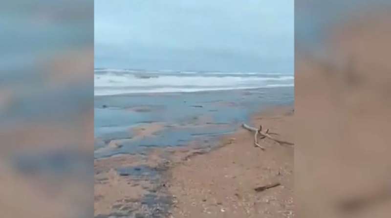 Пятна мазута покрыли пляжи Краснодарского края