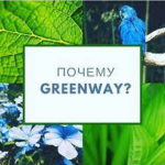 Разновидности средств для уборки от Greenway и их особенности